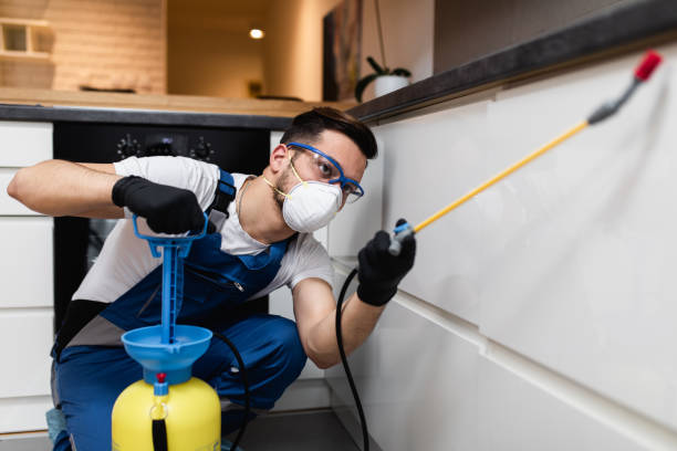 Best Best Pest Control Companies  in Vley, AL
