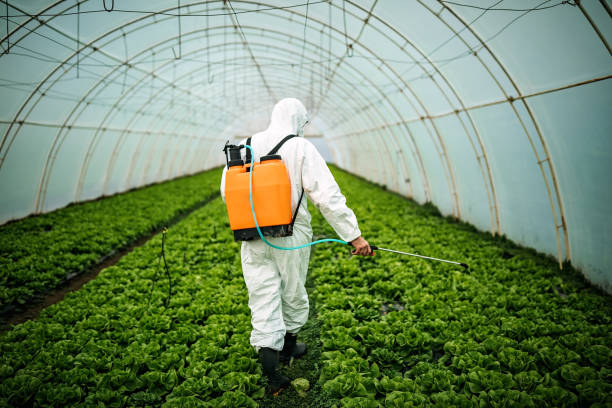 Best Local Pest Control Services  in Vley, AL