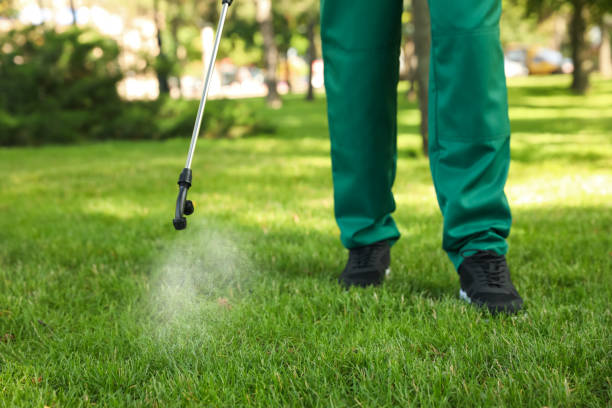 Professional Pest Control in Valley, AL