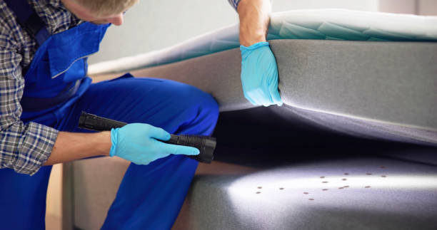 Best Pest Removal Services  in Vley, AL