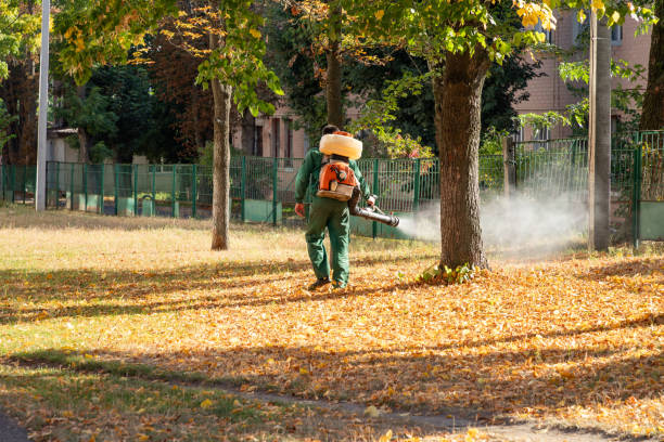 Best Mosquito Control Services  in Vley, AL