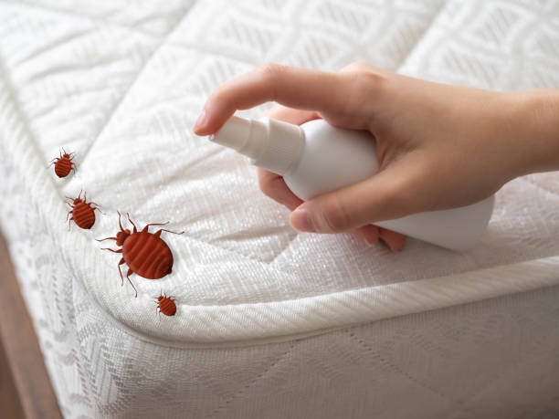 Best Flea Control Services  in Vley, AL